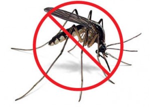 Fogging dan Resiko Resistensi Nyamuk