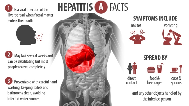Penularan b cara hepatitis Hepatitis B