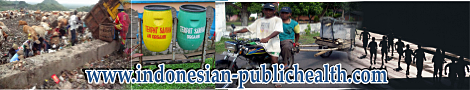 The Indonesian Public Health